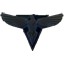 Allied Symbol.tga